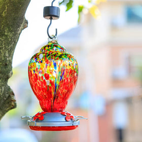 WOSIBO hummingbird feeder ant moat protects nectar from ants.