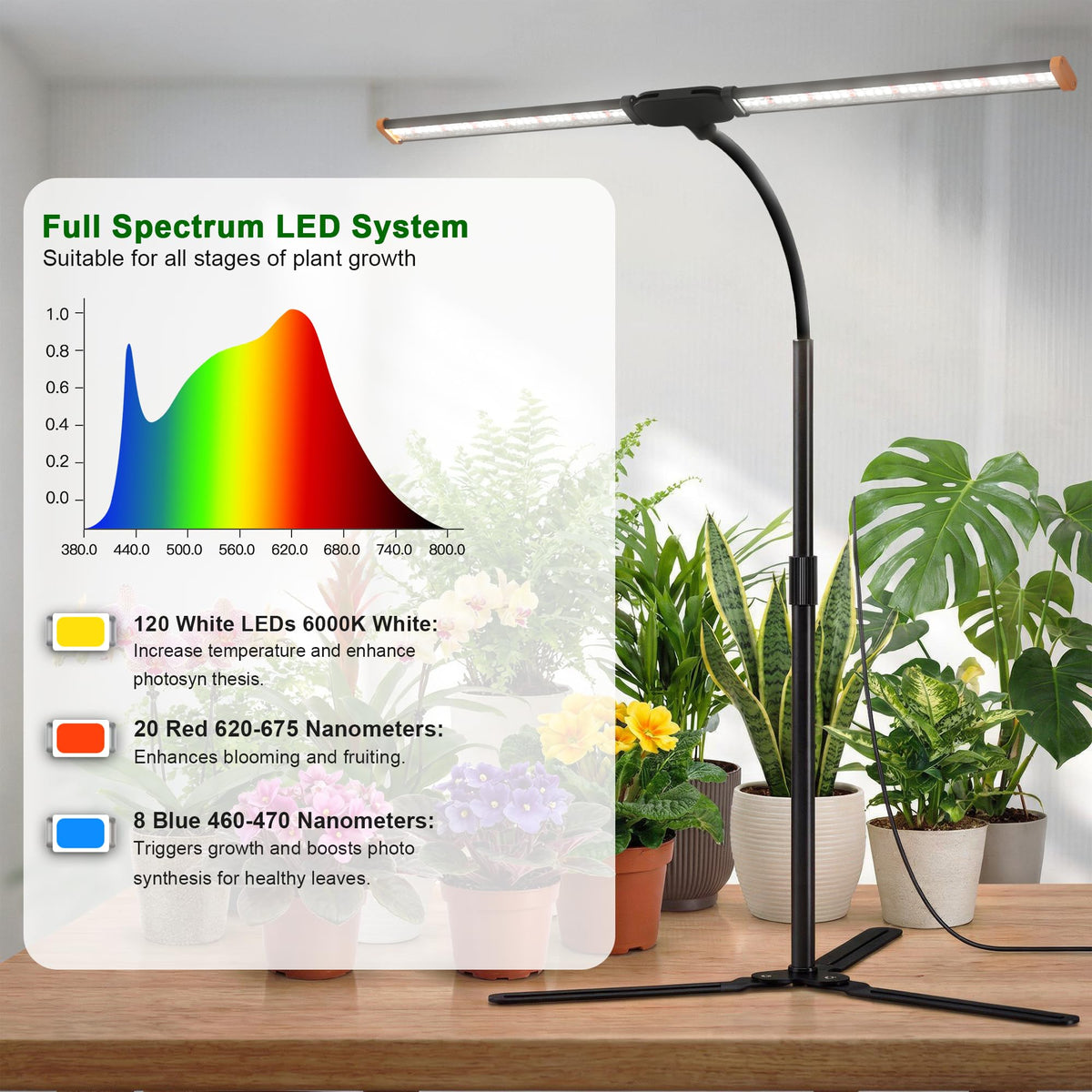 Wotime Grow Light auto timer with 4 8 12 hour options saves energy