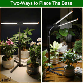 Wotime Grow Light on desk setup for indoor plants and pots