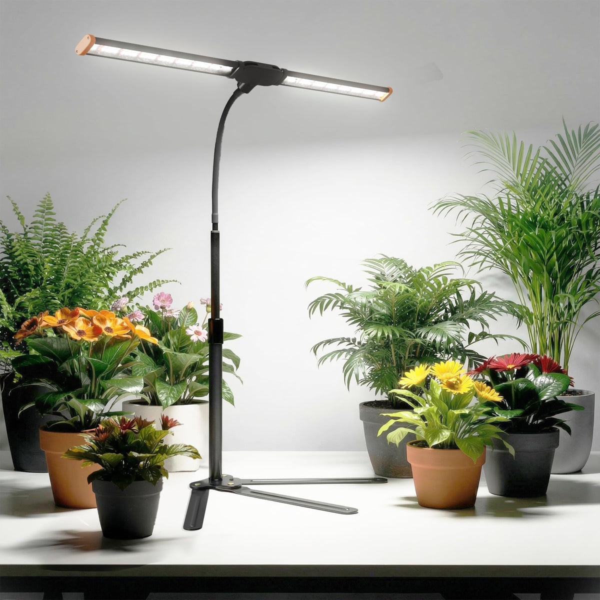 Wotime Grow Light efficient 20W setup delivers bright output