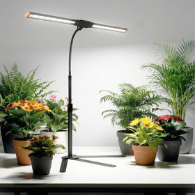 Wotime Grow Light efficient 20W setup delivers bright output