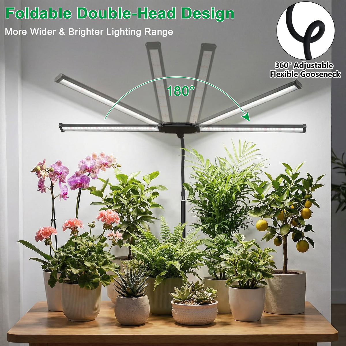 Wotime Grow Light height adjustable pole and gooseneck directs light precisely