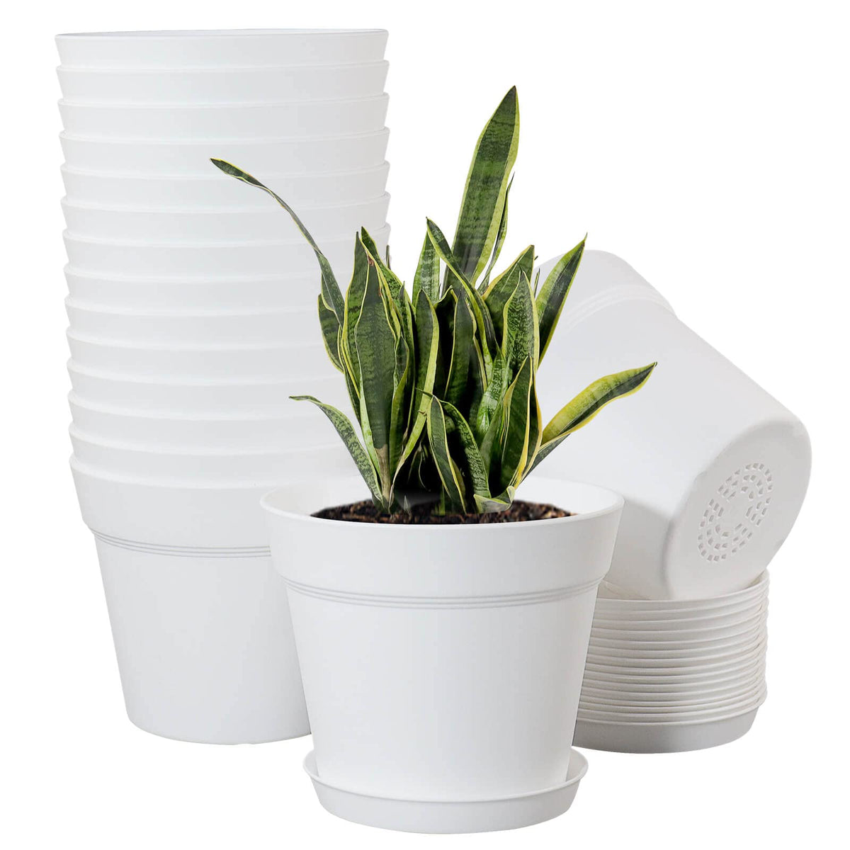 WOUSIWER 6-inch planter with matte finish for stylish indoor plants.
