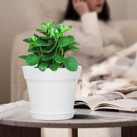 WOUSIWER lightweight, durable plastic planter designed for easy repotting.