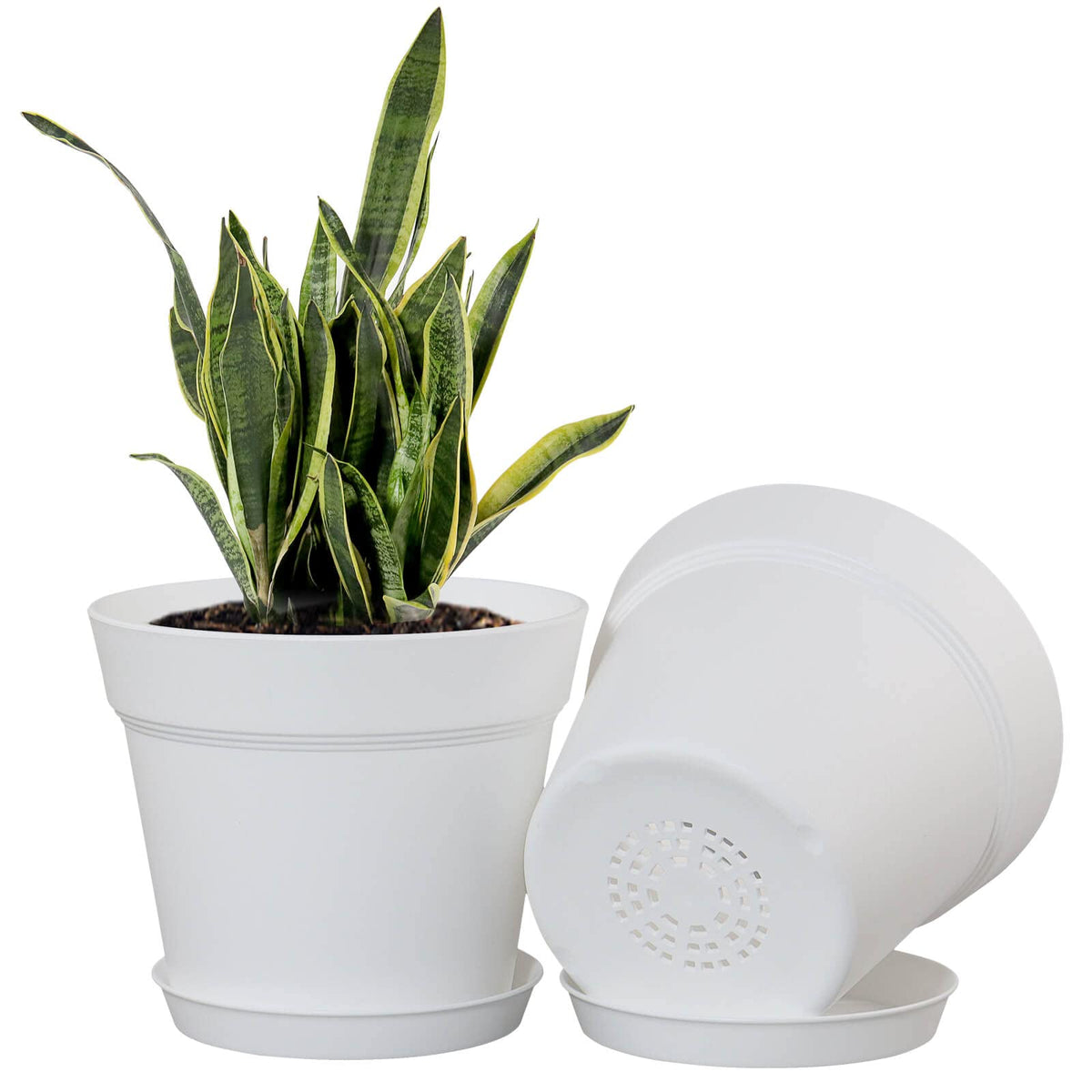 WOUSIWER set of plant pots with trays for neat water management.