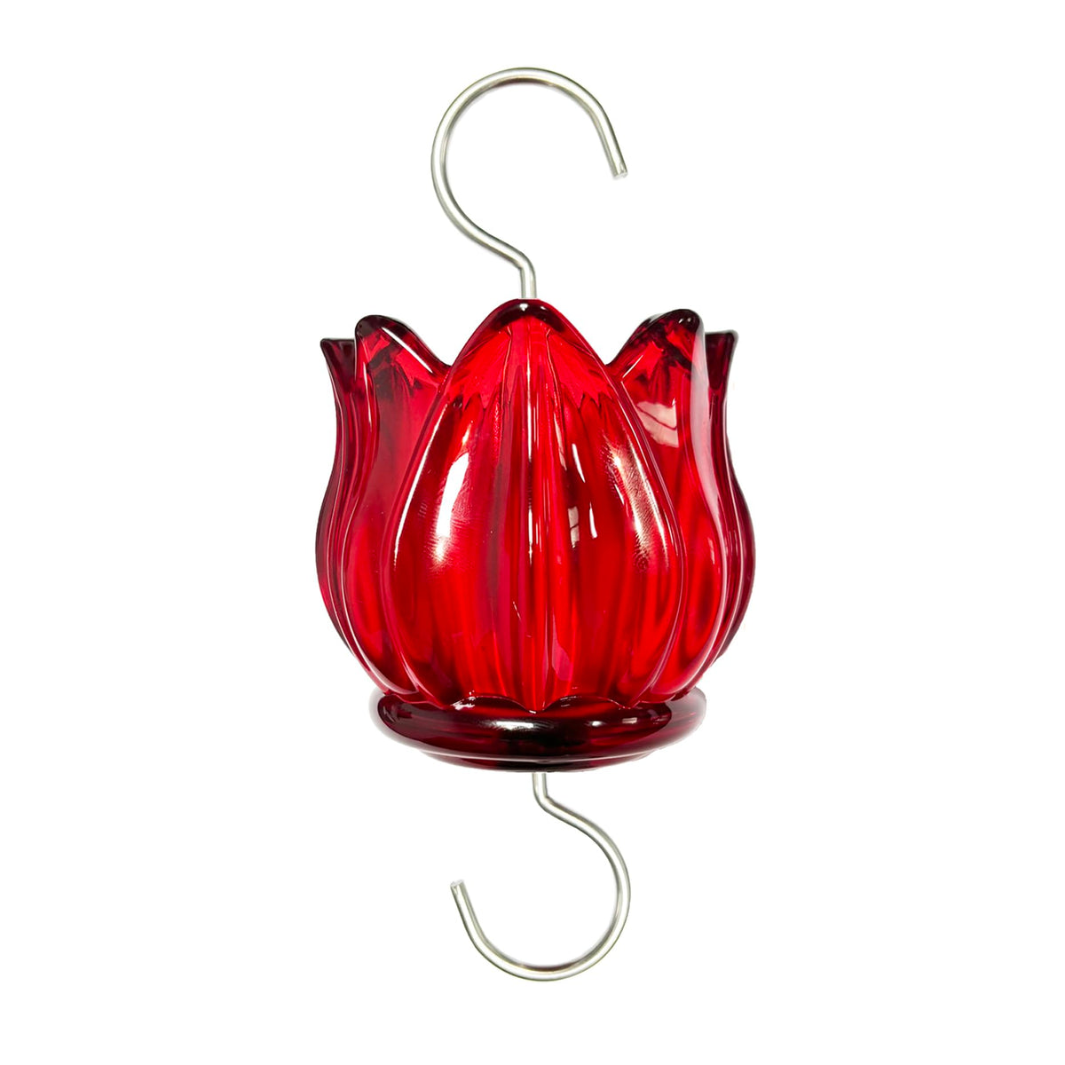 WOWARE real glass ant moat tulip shape protects hummingbird nectar from ants at feeders.
