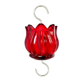 WOWARE real glass ant moat tulip shape protects hummingbird nectar from ants at feeders.