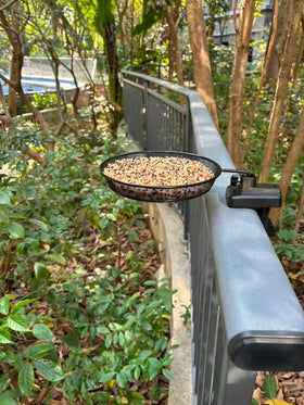 WOWARE wildbird feeder on rail invites passerine visitors.