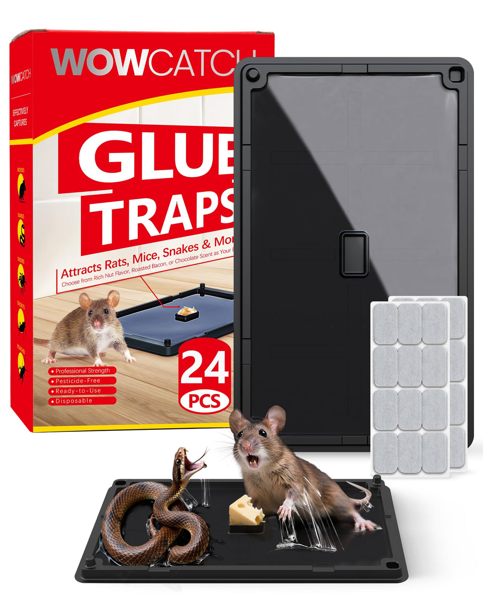 WowCatch glue trap 24-pack with ultra-strong adhesive ready for setup.