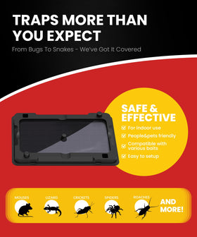WowCatch non-toxic trap emphasizes odor-free pest control option.