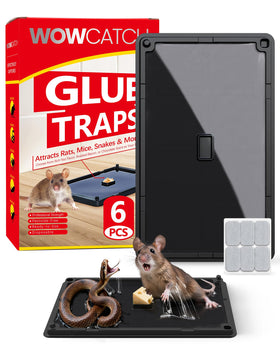 WowCatch rat-snake-mouse traps 6pk large: bulk pack ready for kitchens and garages.