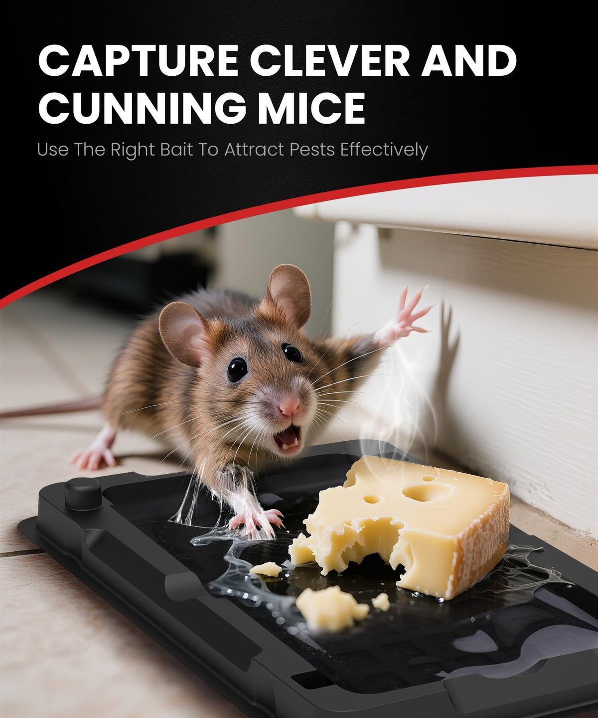 WowCatch ready-to-use pest trap demonstrates quick setup for immediate protection.