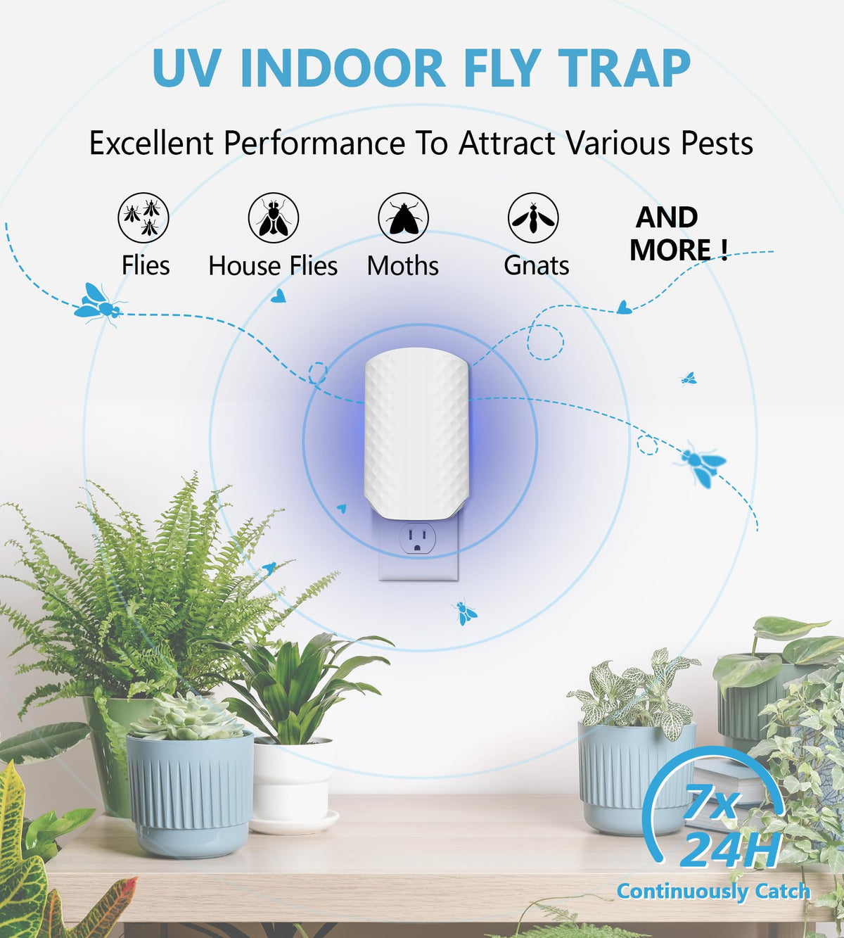 WowCatch sticky cards protect homes with reliable pest trapping at home.