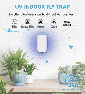 WowCatch sticky cards protect homes with reliable pest trapping at home.