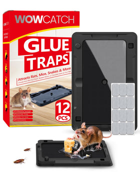 WowCatch sticky traps indoor packaging shows a 12 pack for quick pest setup.
