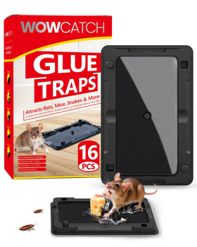WowCatch sticky trap close-up shows extra-strong glue for lasting pest capture.