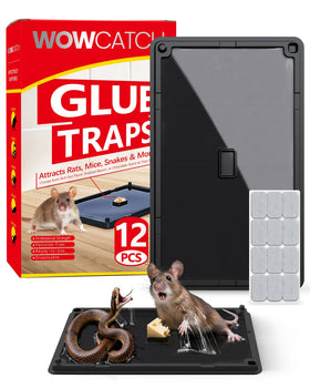 WowCatch trap with extra sticky glue performs well in humid areas.