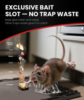 WowCatch trap ready to use with no-touch disposal for easy cleanup.