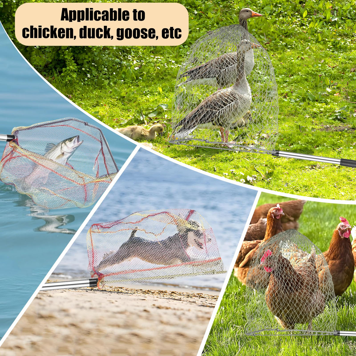 Woxnoc in-use at a lakeside capturing poultry safely