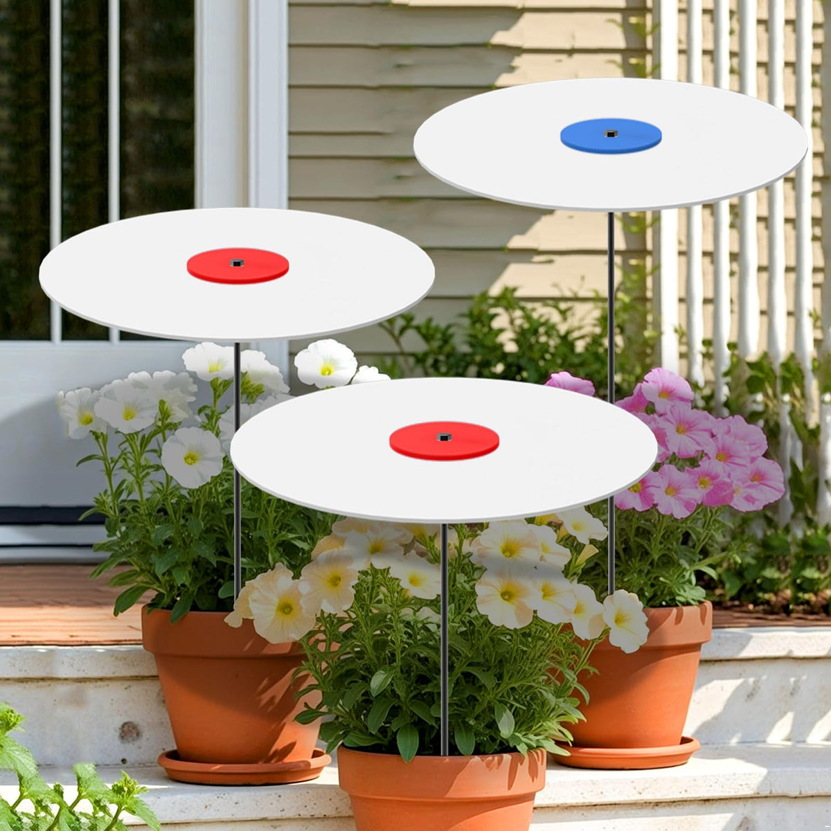 WSBXBB plant shade cover umbrella protects outdoor plants from intense sun.