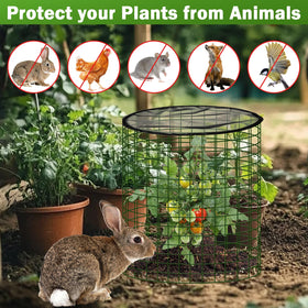 WSFSLJWDW raised-bed and container use compatible cages protect early plantings.