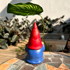 WSHMZYHOME patio decor gnome stands beside flowers for curb appeal.