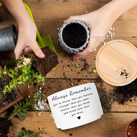 WSLCHOVE ceramic plant pot for office decor inspires calm and organization.