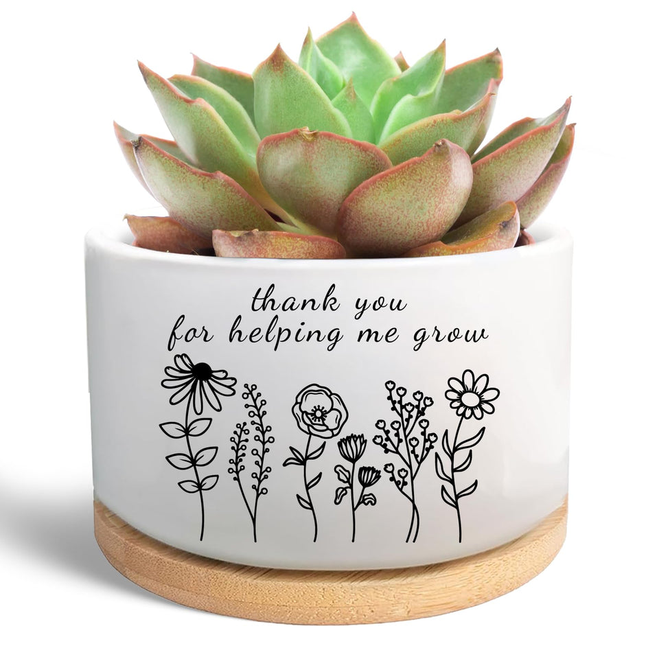 WSLCHOVE ceramic planter with wood tray for elegant teacher appreciation decor.