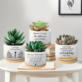WSLCHOVE gift-ready planter is perfect for birthdays and housewarmings.