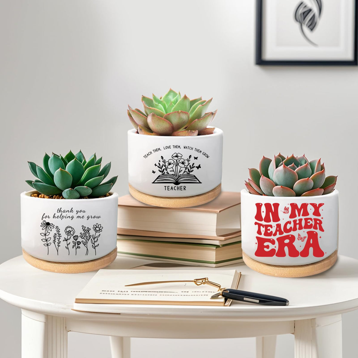 WSLCHOVE compact planter ideal for indoor and outdoor spaces.