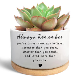 WSLCHOVE succulent pot with wood tray enhances desk decor and plant health.