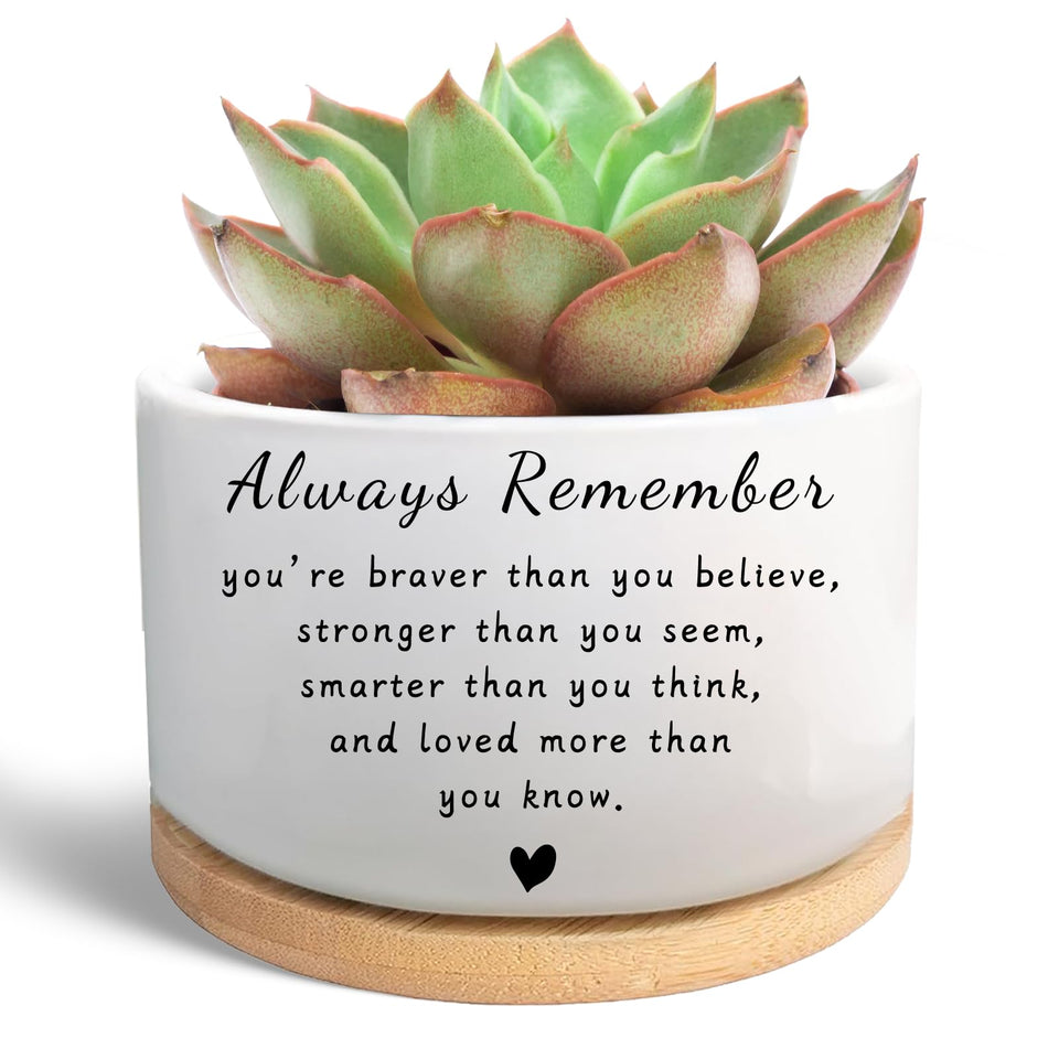 WSLCHOVE succulent pot with wood tray enhances desk decor and plant health.
