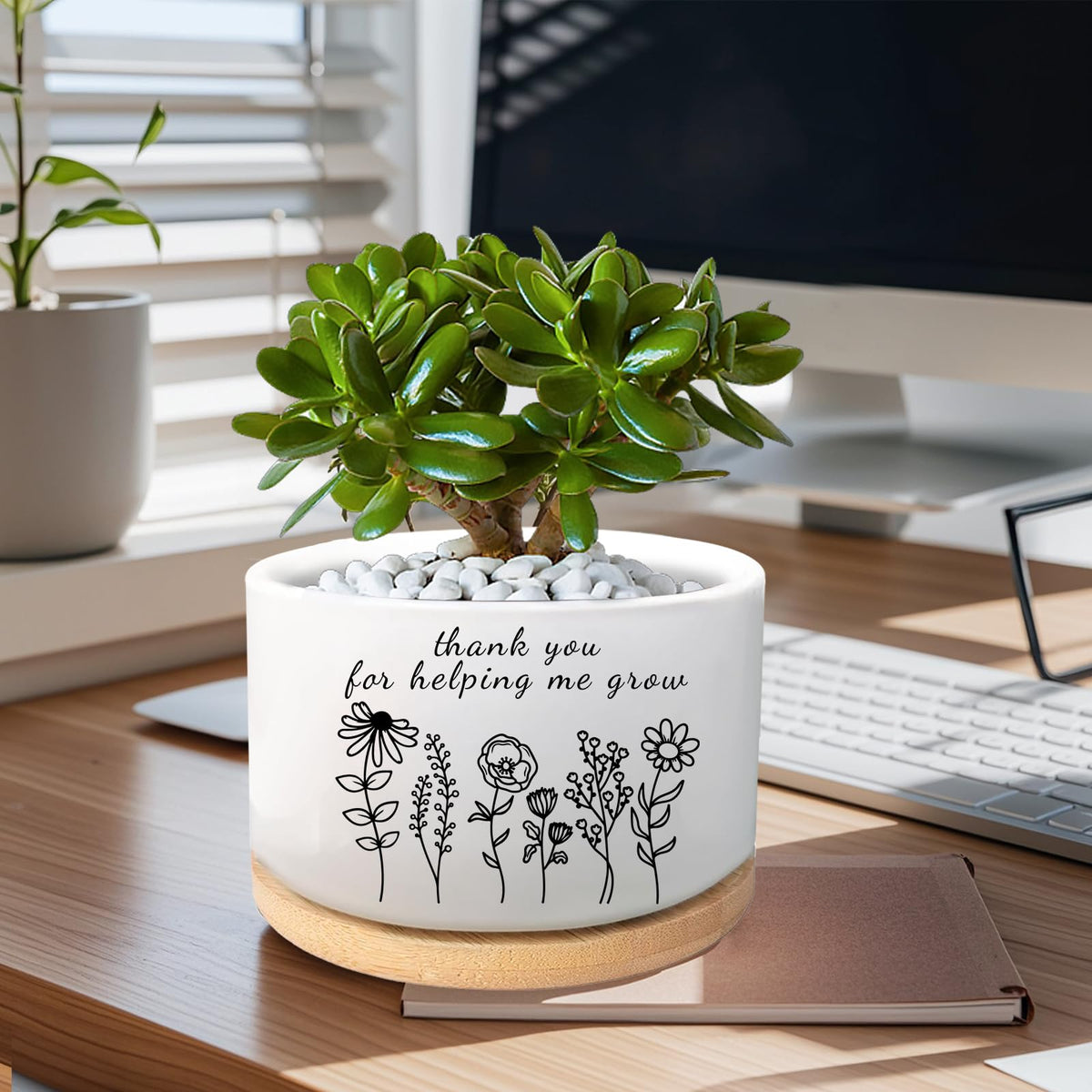 WSLCHOVE succulent pot with drainage hole supports healthy growth.