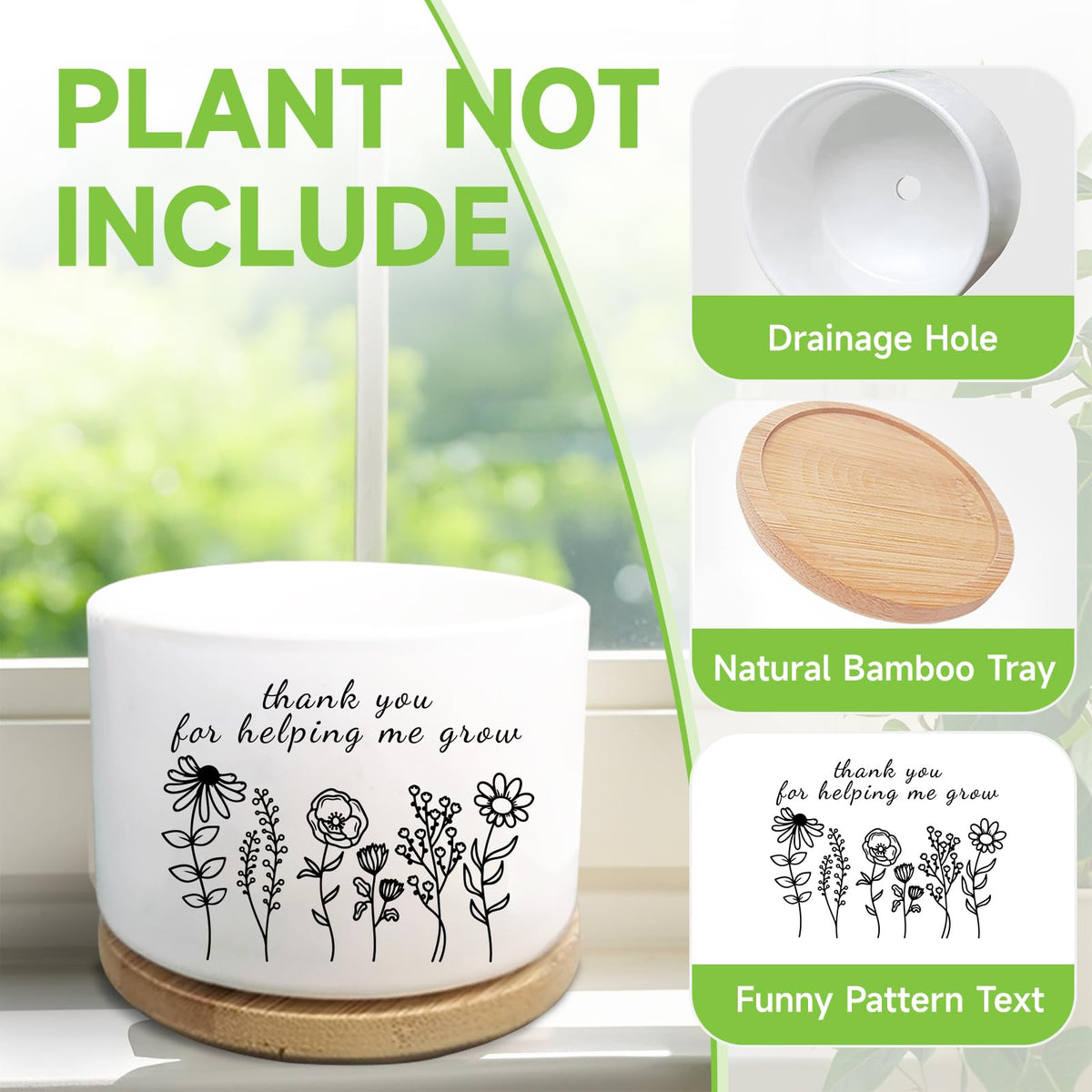WSLCHOVE teacher office decor planter for desks and shelves.