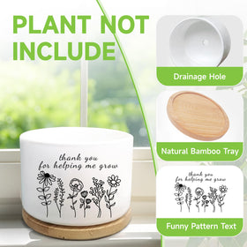 WSLCHOVE teacher office decor planter for desks and shelves.