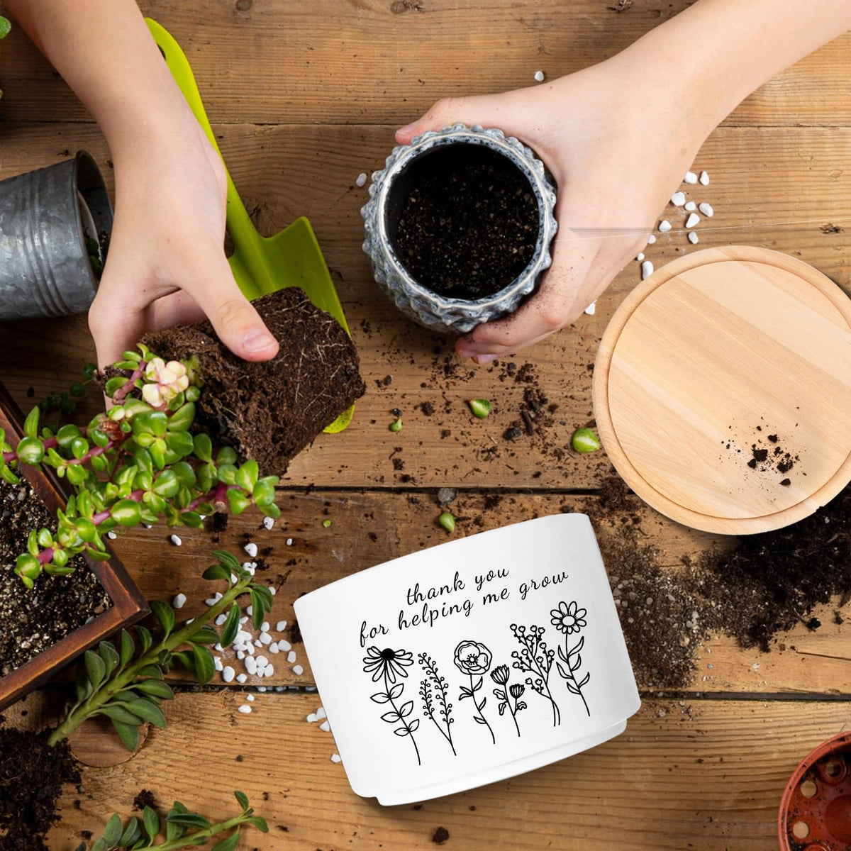 WSLCHOVE white ceramic flower pot adds a clean modern touch.