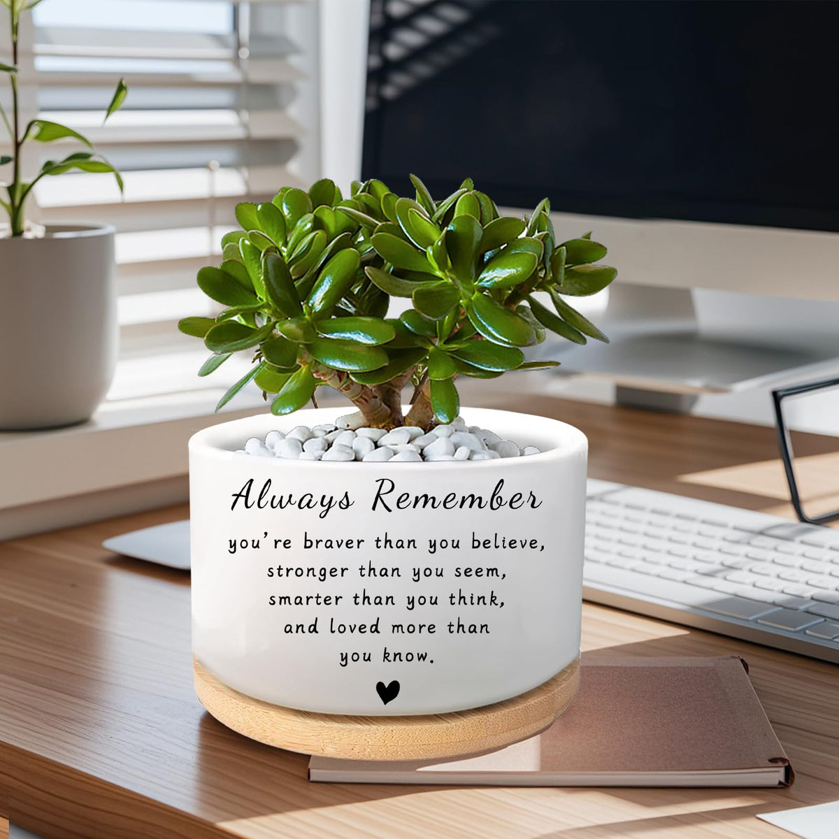 WSLCHOVE white planter with decorative patterns adds modern charm to any room.