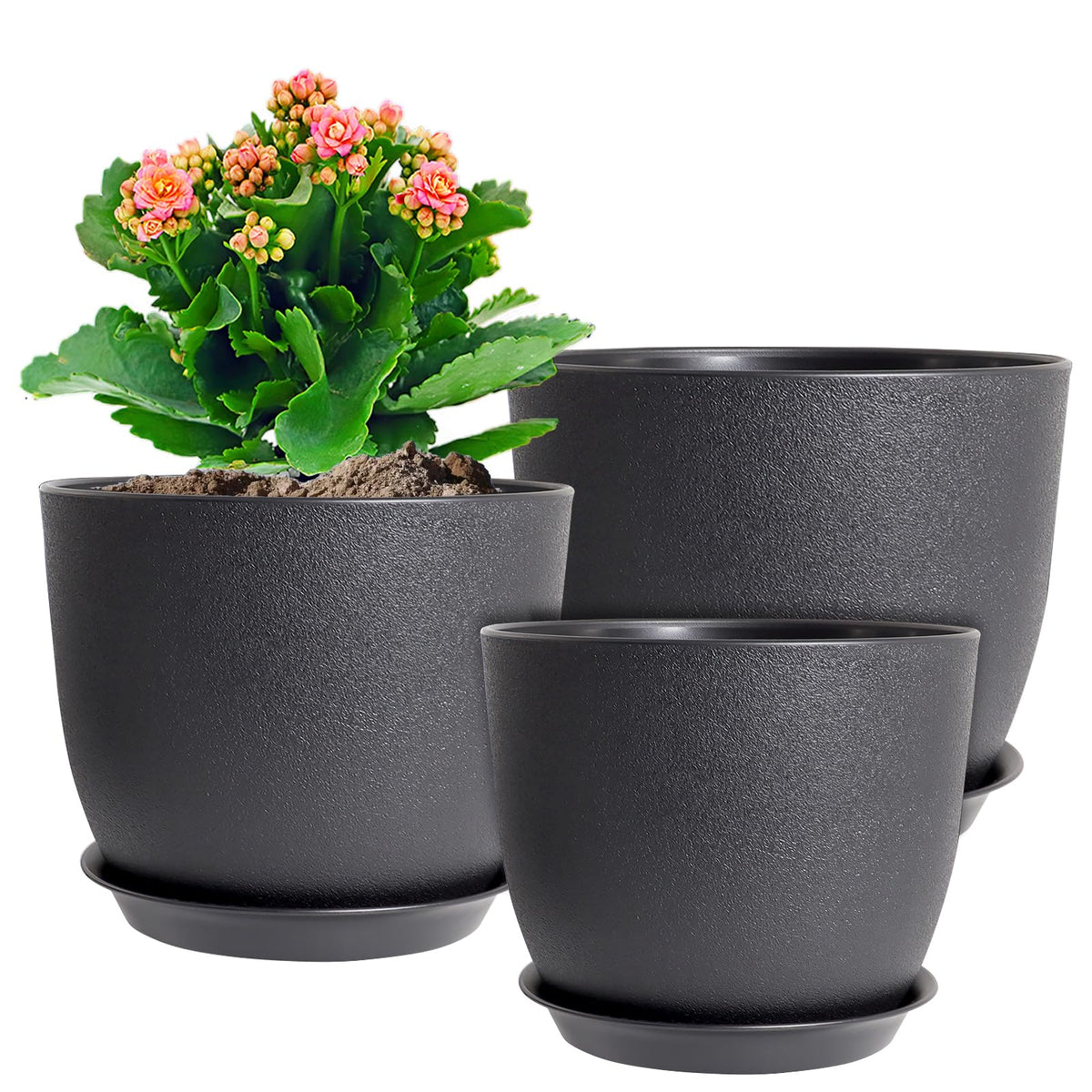 WSMKSZ 10-inch plant pot package, modern black design for versatile indoor decor.