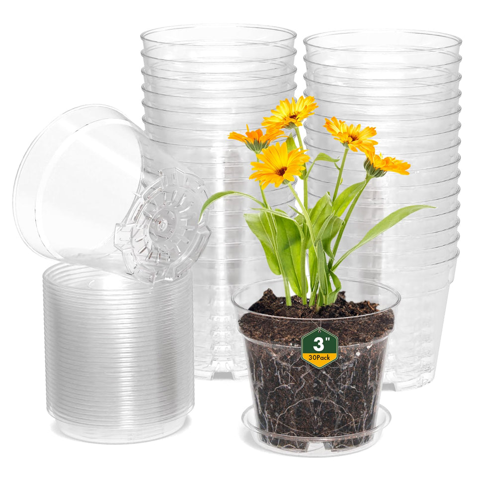 WSMKSZ 3-inch clear pot front view aids germination observation and root monitoring.