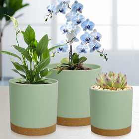 WSMKSZ matte frosted surface adds modern decor appeal.