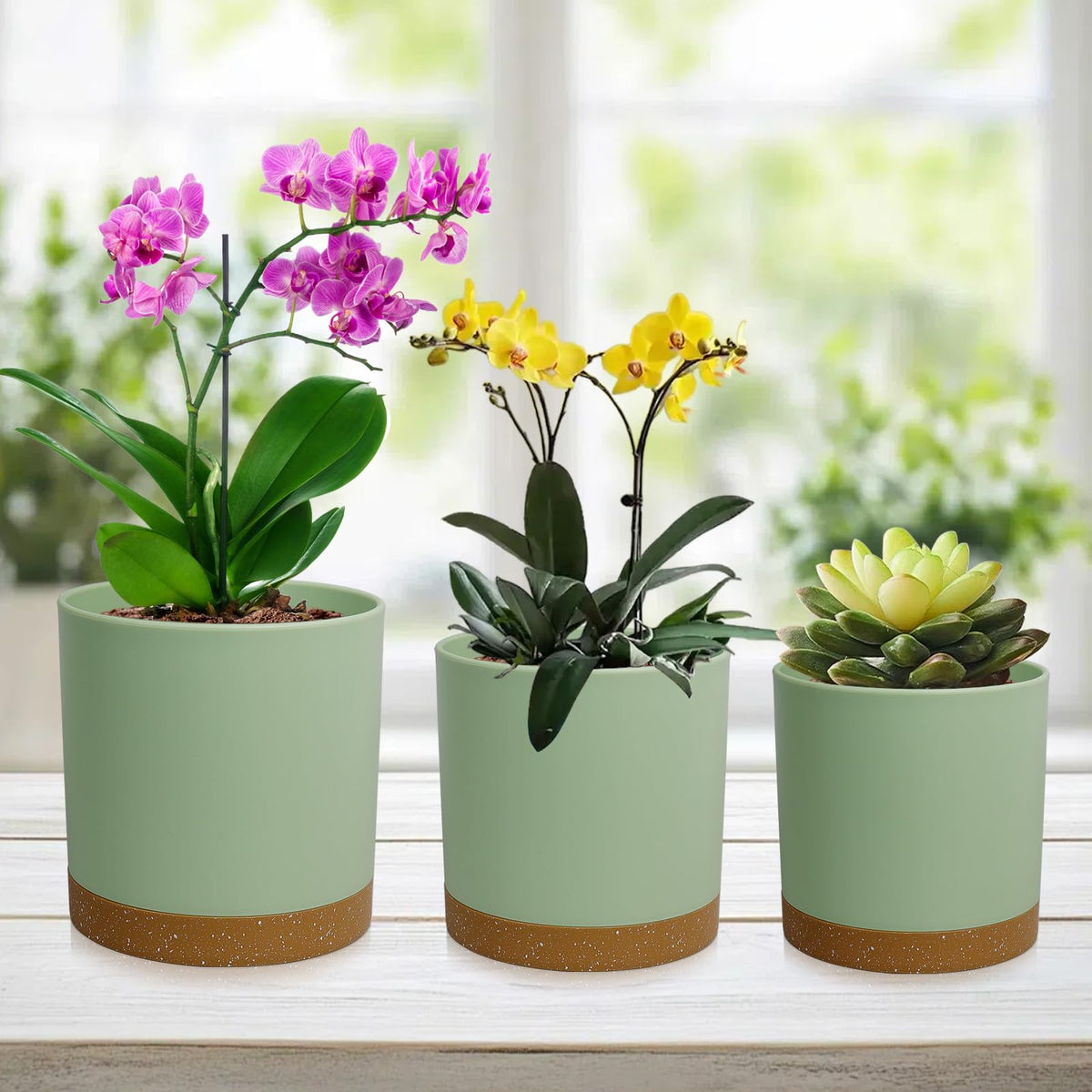 WSMKSZ outdoor garden setup showing easy plant arrangement.
