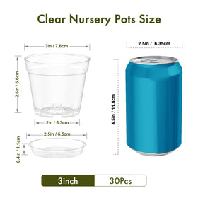 WSMKSZ 30-pack clear pots shown as a compact seedling starter set for multiple plants.
