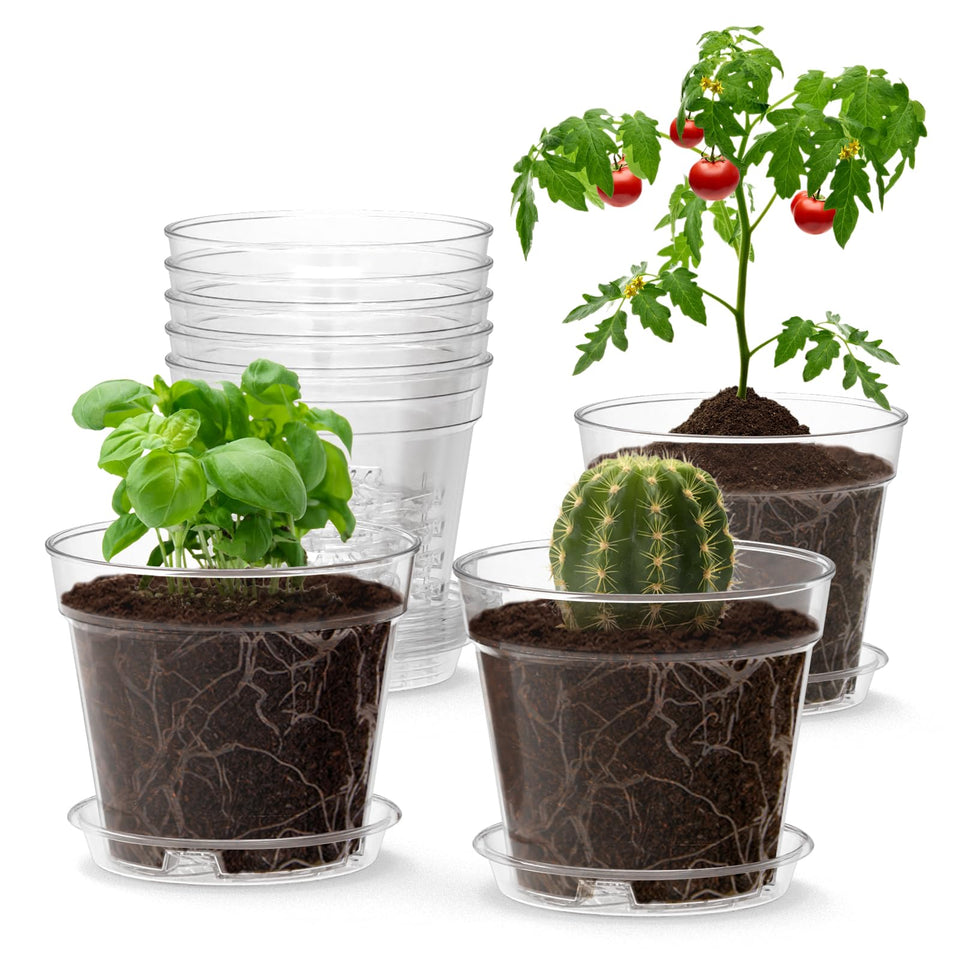 WSMKSZ 4-inch clear nursery pot showing transparency for seedling monitoring and moisture control