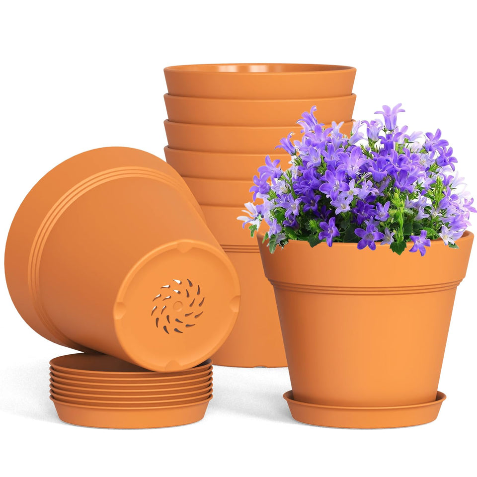 WSMKSZ 4-inch plastic pot with drainage holes supports healthy growth.