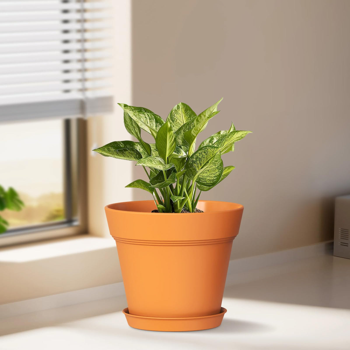 WSMKSZ pot with saucers keeps surfaces clean and dry.