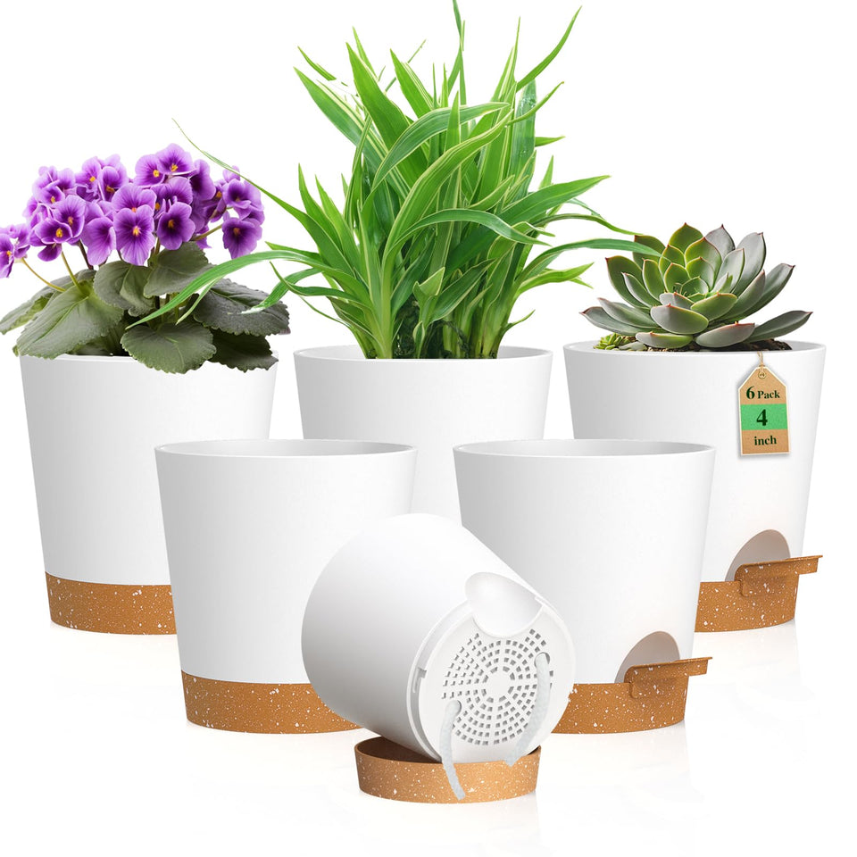 WSMKSZ 4-inch self-watering pot with six-pack for convenient plant care