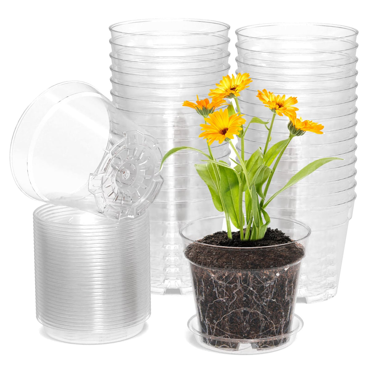 WSMKSZ 4-inch clear nursery pot for easy seedling observation and growth