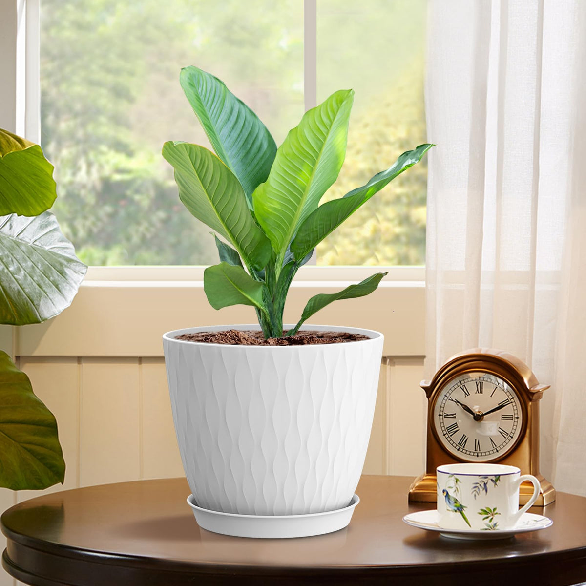 WSMKSZ white pot ideal for shelves, window sills, and desks.