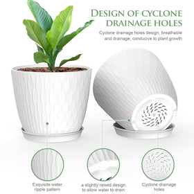WSMKSZ raised-base pot with saucer to catch excess water.