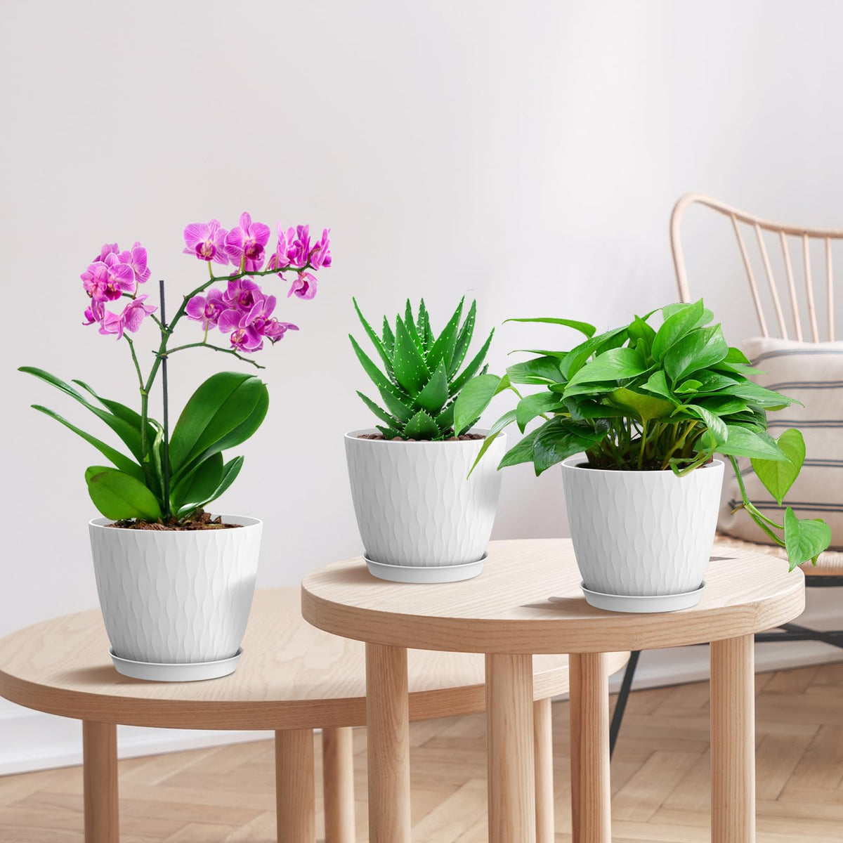 WSMKSZ planter perfect for succulents and small cacti in tight spaces.